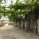 Portugal: Erinnerungen an das farbenfrohe Porto – coral and mauve